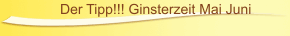 Der Tipp!!! Ginsterzeit Mai Juni